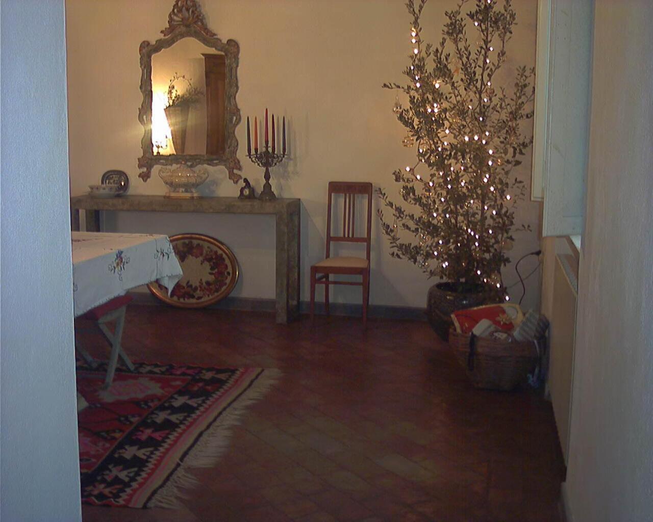 Panicucci Livorno