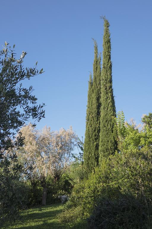 Panicucci Bed & Breakfast